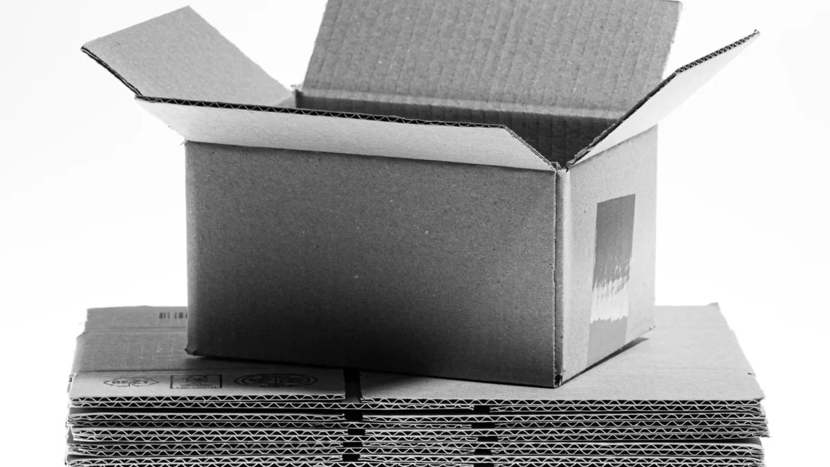 An open corrugated cardboard box resting on flattened box blanks, photographed in black and white