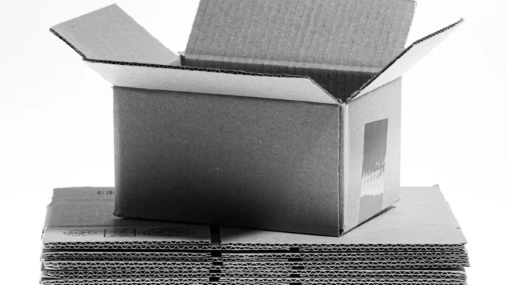 An open corrugated cardboard box resting on flattened box blanks, photographed in black and white