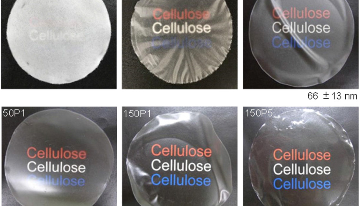 Six real TEMPO-oxidized cellulose sheet and film specimens from opaque to transparent, with original sample labels and scale bar.