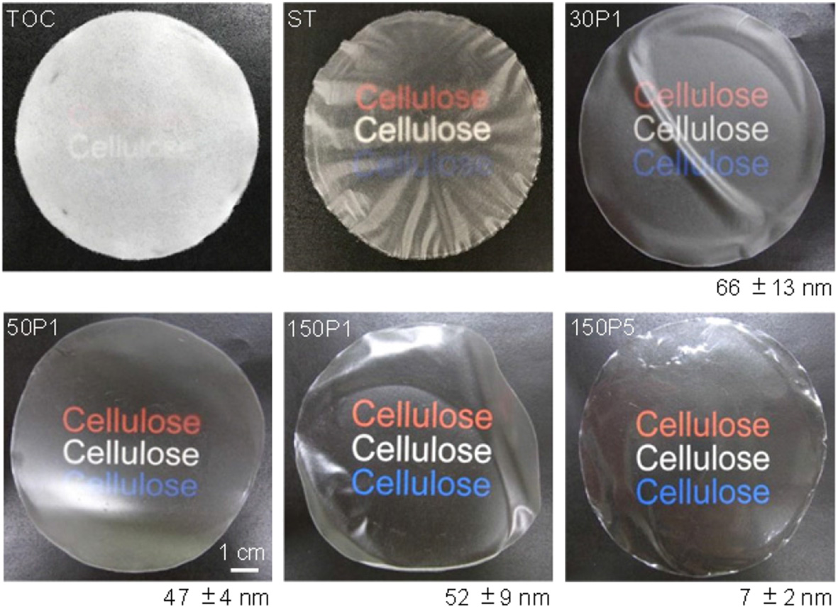 Six real TEMPO-oxidized cellulose sheet and film specimens from opaque to transparent, with original sample labels and scale bar.