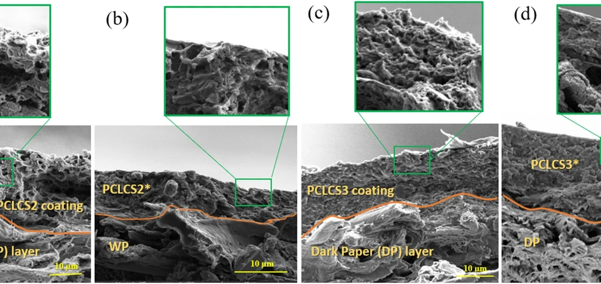 Scanning electron micrographs of PCL/chitosan coatings on white and dark paper, with original specimen labels and ten-micrometre scale bars