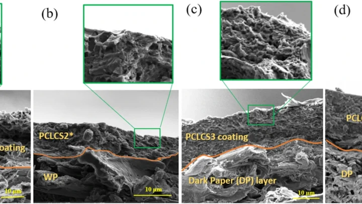 Scanning electron micrographs of PCL/chitosan coatings on white and dark paper, with original specimen labels and ten-micrometre scale bars
