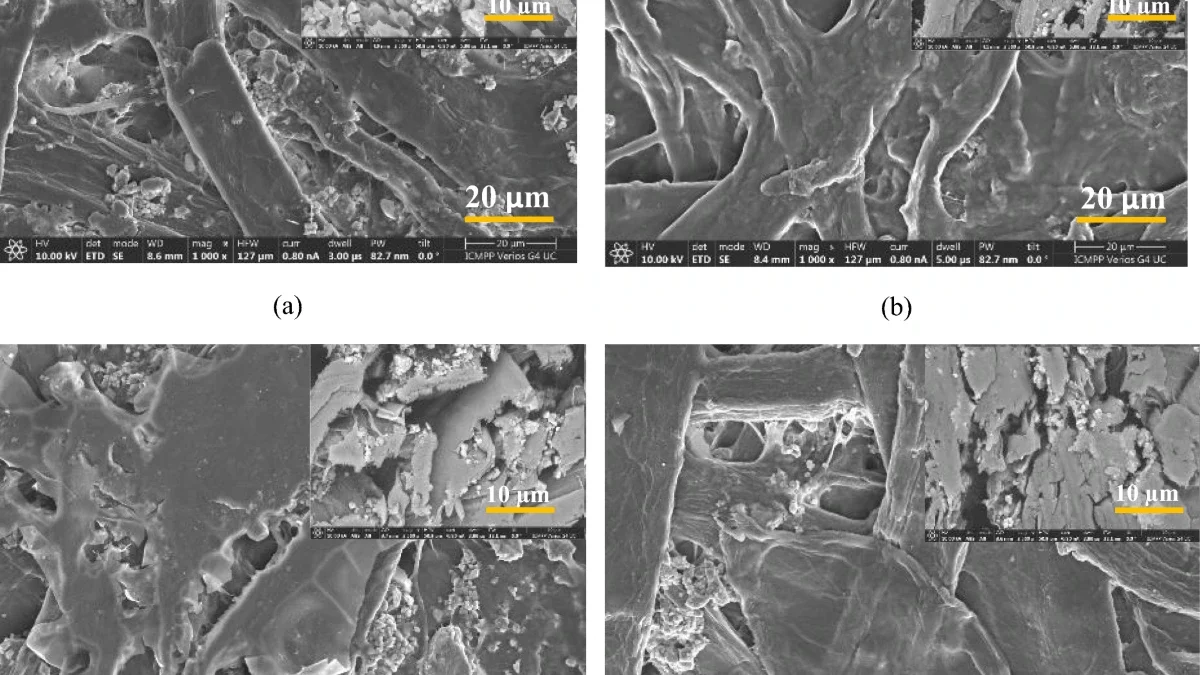 Four SEM views of uncoated and chitosan-coated paper, with cross-section insets and original scale bars