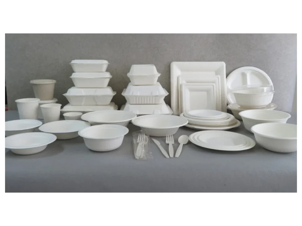 Bioleader sugarcane bagasse meal boxes, bowls, plates and trays shown together